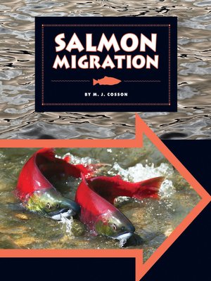 cover image of Salmon Migration